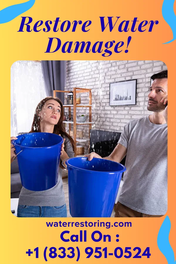water restoration Citywide Disaster Recovery Masters Prospect
